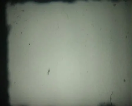 Filmscratch 库存影片 8994829