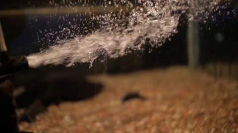 Filter for aquarium makes flow Stock Footage 99618311