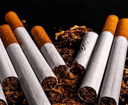 Filter cigarettes of detail Stock Photos