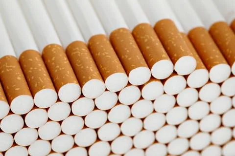 Filter cigarettes Stock Photos