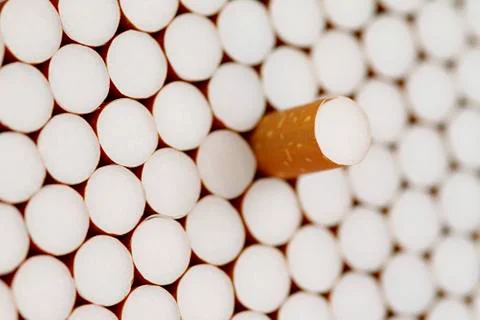Filter cigarettes Stock Photos