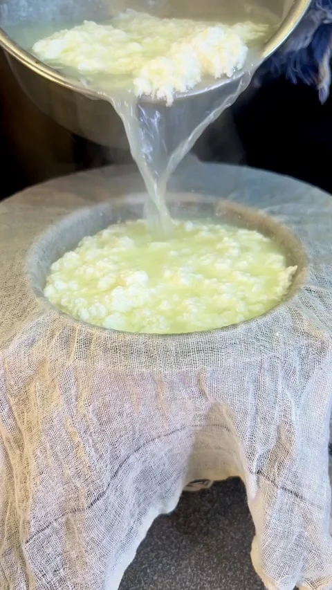Filter outing Cottage cheese from curd in a bowl isolated on white background. Stock Footage 287177510