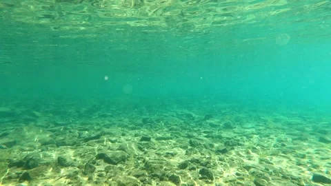 Filtered light underwater Stock Footage 279853791
