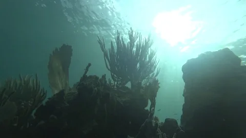 Filtered Sunlight on a reef Stock Footage 85029321