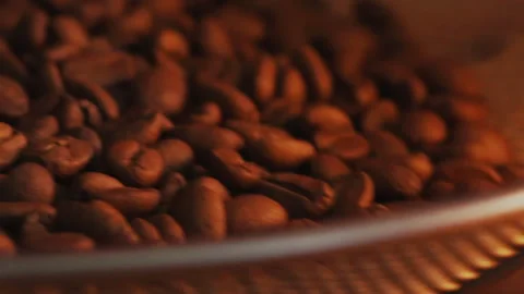 Filtering light roasted arabica coffee bean Stock Footage 280049501