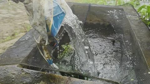 FILTERING THE SPRING WATER USING A BLACK NET Stock Footage 279164380