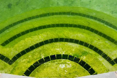 Filthy backyard swimming pool and patio Stock Photos
