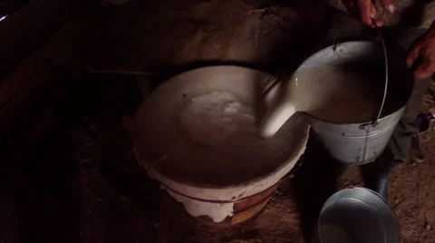 Filtration of fresh milk on the old way through the bucket and gauze Stock Footage 43224496