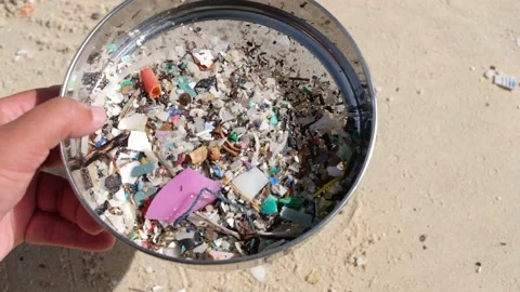 Filtration of micro-plastic waste from the seaside sand using a fine filter. Stock Footage 141525907