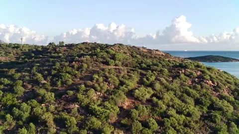 FIMI0003 2 Video stock 325790223