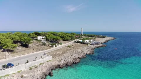 FIMI0007 4 Video stock 290022223