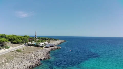 FIMI0007 Video stock 290022581