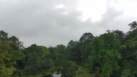 Fimi4k Video stock 241055396