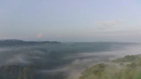 Fimi4k3 Video stock 241055393