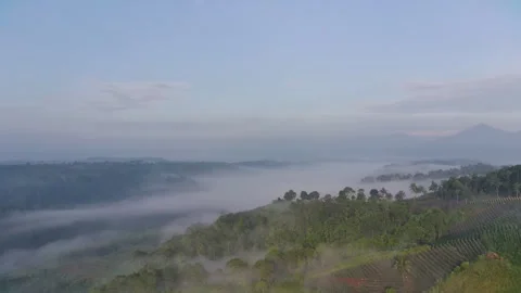 Fimi4k4 Video stock 241055415