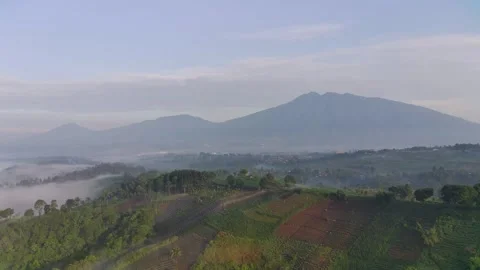 Fimi4k5 Video stock 241055433