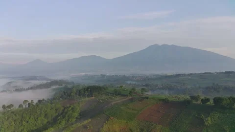 Fimi4k6 Video stock 241055435