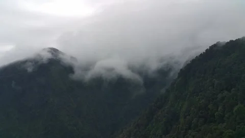 FIMI8EX Video stock 241053645