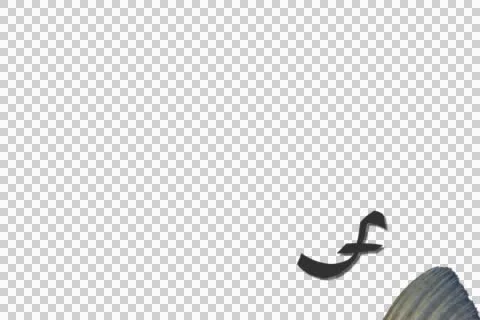 Fin- Ending Motion Graphic with Fish Dorsal Stock Footage 47042902