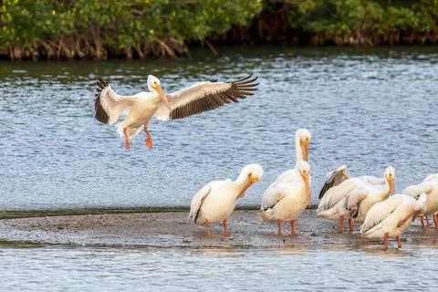 Final Approach Stock Photos