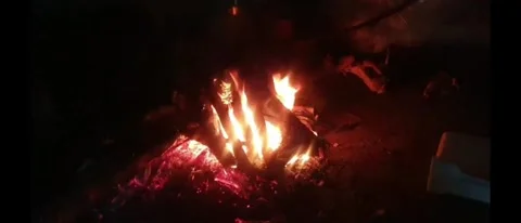 Final Campfire Stock Footage 296693480