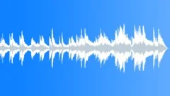 Final Farewell (WP) 09 MT 60# b - peaceful,reflective,emotional,acoustic,nature Stock Music