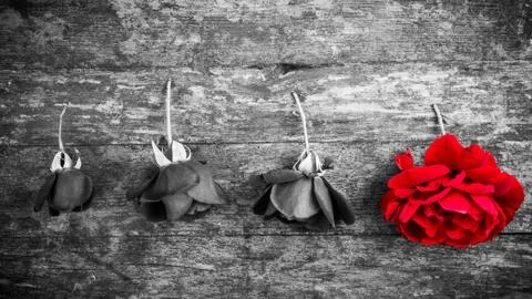 The final goal Stock Photos