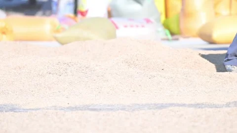 Final grain views, Hubei Video stock 347332178