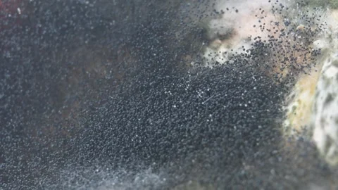 Final mold views Video stock 347177795