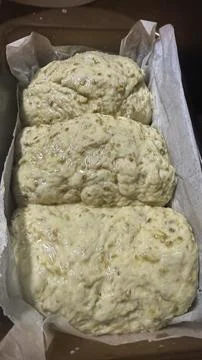 Final proof dough lined with  parchment paper is in Oven Stock Photos