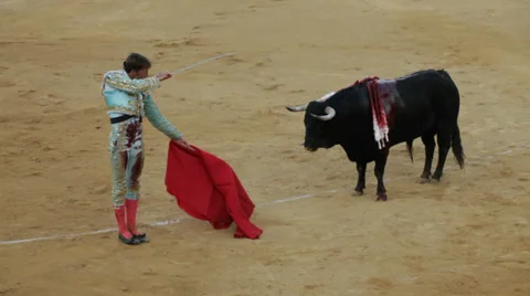 The final stage of bullfighting in Spain Stock Footage 30348721