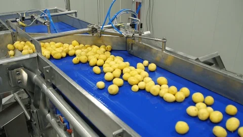 Final stage of preparation potato for cutting. Organic vegetables. Washed and 스톡 동영상 128204809