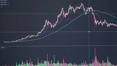 Finance charts and graphs of crypto on montor display. Stock Footage 166865605