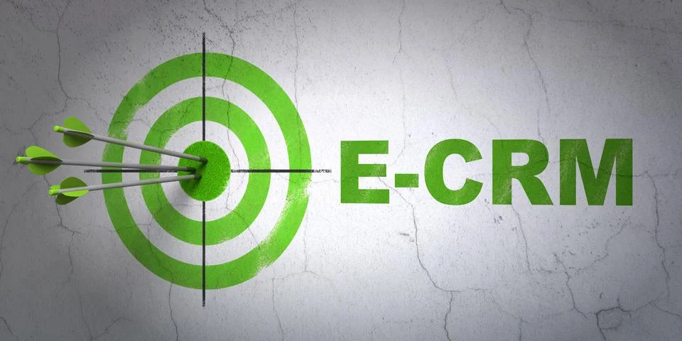 Finance concept: target and E-CRM on wall background Illustrazione stock