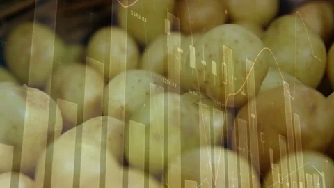 Finance overlay appearing over potato basket bars candles line plots animating Stock Footage 333105308