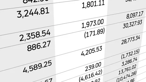 Finance report of company. Stock Footage 233344997