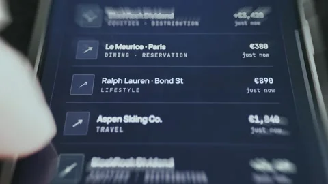 Financial activity tracking screen for high-end lifestyle, dining, and Stock Footage 335476446