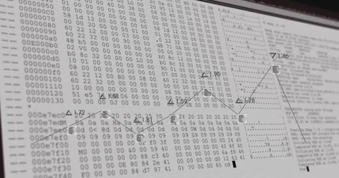 Financial analysis on computer screen with binary code and data chart animation 動画素材 304768614