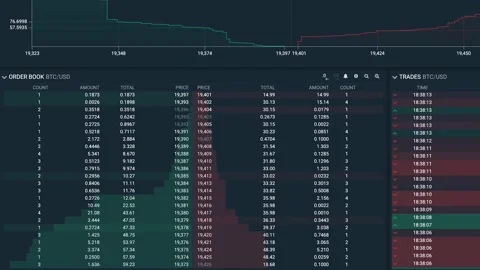 Financial Analysis Stock Footage 213323875