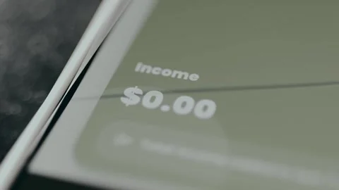 Financial app displays a zero balance, Income 0 US dollar Stock Footage 329285558