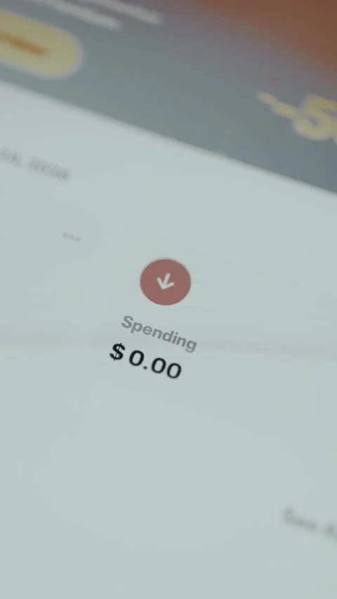 Financial application displays the Spending financial summary, total spending of Stock Footage 330258052