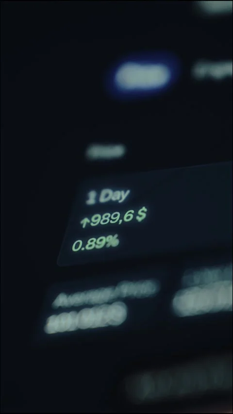 Financial application interface showing a daily performance summary Stock Footage 327927280