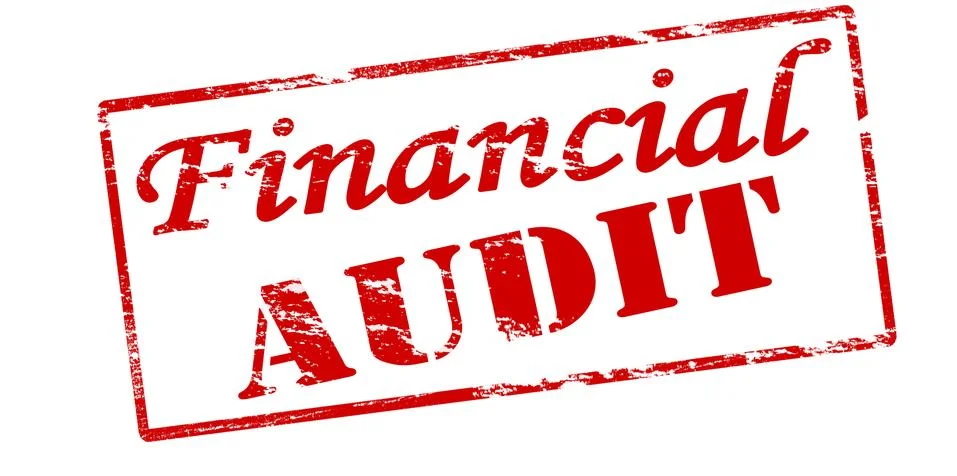 Financial audit Illustrazione stock