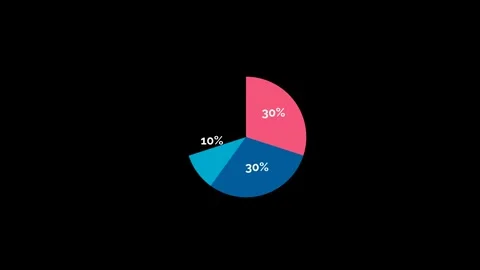 Financial Budget Pie Chart Icon Animation 4K UHD Stock Footage 325331691