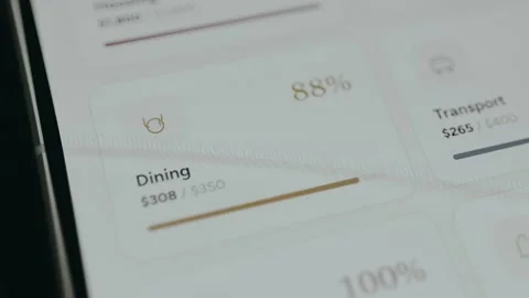 Financial budget tracker, Dining category show amount of 308 USD spent out of a Video stock 332082280