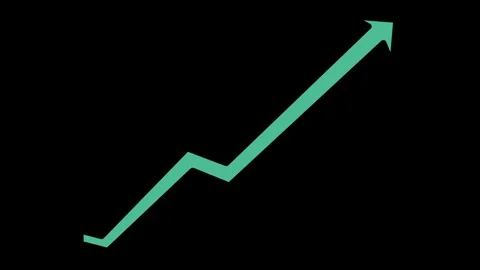 Financial Chart Graph icon Line Drawing Animation Transparent Vector loop Stock Footage 95943791