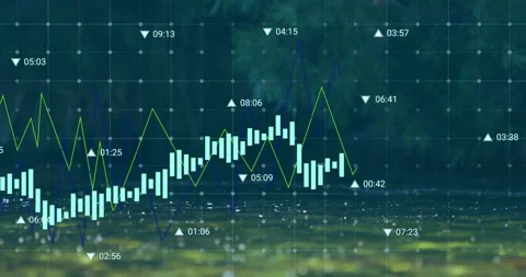 Financial chart loading on rippling pond; bars moving for insight until bird Stockbeeldmateriaal 313570896