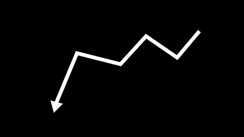 Financial Dashboard Animation with Revenue Down Arrow Bar Growth Charts Stock Footage 337008967