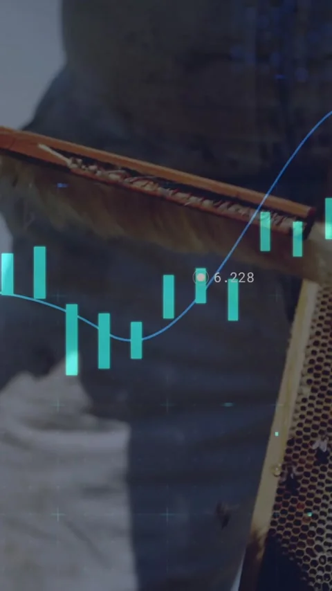 Financial data analysis animation over person working with beehive Stock Footage 342015685