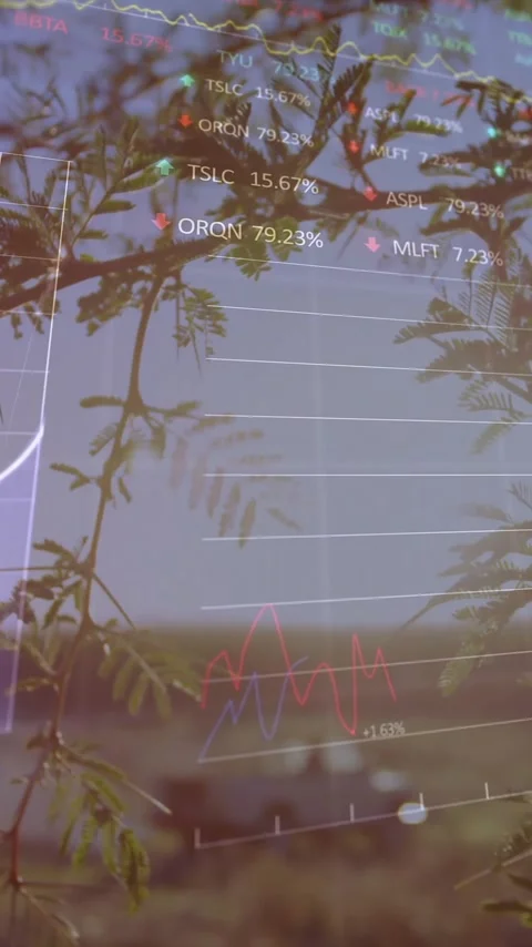 Financial data and graphs animation over tree branches in natural landscape Stock Footage 342997357